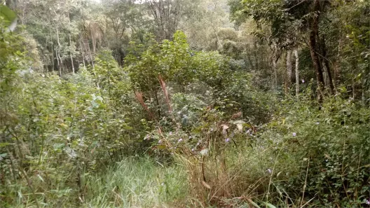 Lote/Terreno à venda, 1952m² no Caraguatá, Mairiporã