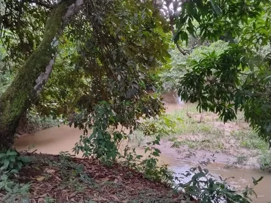 Fazenda/Sítio com 1 Quarto à venda, 10m² no BR 153, Hidrolândia