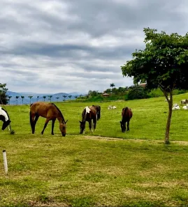 Lote/Terreno à venda, 860m² no Nova Niterói, Três Rios