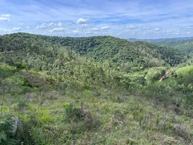 Lote/Terreno à venda, 5000m² no Centro, São Lourenço da Serra