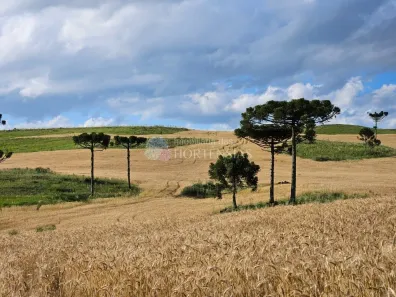 Fazenda/Sítio com 4 Quartos à venda, 1500000m² no Centro, São Francisco de Paula