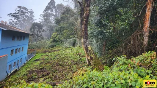 Lote/Terreno à venda, 420m² no Nova Petrópolis, Nova Petrópolis