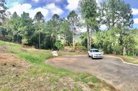 Lote/Terreno à venda, 455m² no Ratones, Florianópolis