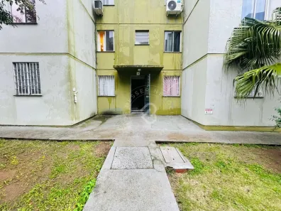 Apartamento com 2 Quartos para alugar, 40m² no Pasqualini, Sapucaia do Sul