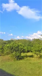 Fazenda/Sítio com 1 Quarto à venda, 44077m² no Boa Vista do Sul, Porto Alegre