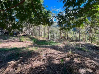 Lote/Terreno à venda, 5206m² no Pedro do Rio, Petrópolis