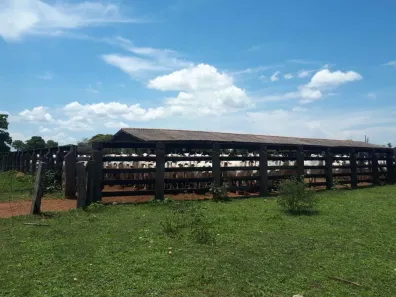 Fazenda/Sítio com 1 Quarto à venda, 1368m² no , Santa Rita do Trivelato