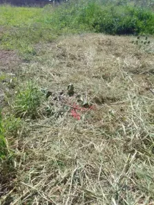Lote/Terreno à venda, 280m² no Recreio Anhangüera, Ribeirão Preto