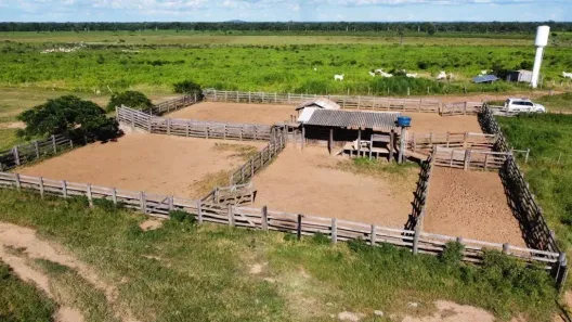 Fazenda/Sítio com 3 Quartos à venda, 500000000m² no , Iaciara