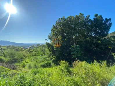 Lote/Terreno à venda, 501m² no Itacorubi, Florianópolis