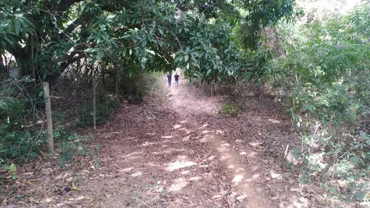 Lote/Terreno à venda, 20000m² no , Cordisburgo