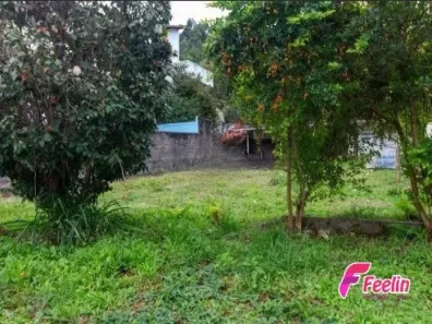 Lote/Terreno à venda, 528m² no Trindade, Florianópolis