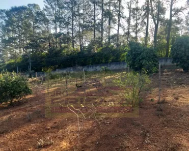 Lote/Terreno à venda, 6244m² no Chácaras do Guacuri, Itupeva