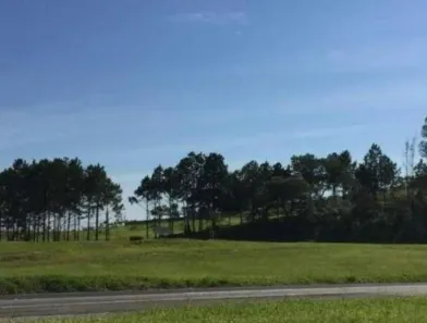 Lote/Terreno para venda ou aluguel, 10900m² no Vila Artura, Sorocaba