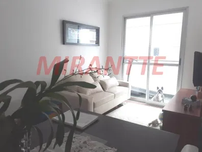 Apartamento com 3 Quartos à venda, 58m² no Vila Pereira Barreto, São Paulo
