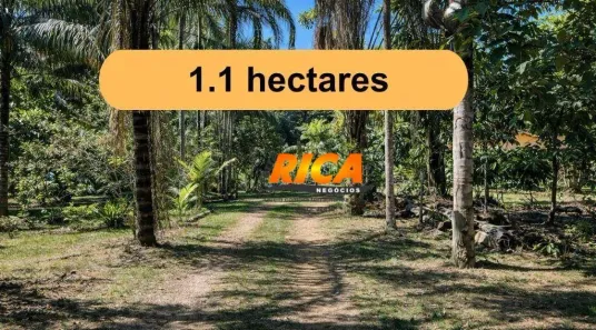 Fazenda/Sítio com 3 Quartos à venda, 10000m² no Área Rural de Porto Velho, Porto Velho
