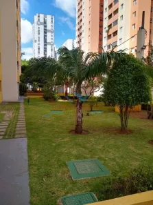 Apartamento com 2 Quartos para alugar, 61m² no Continental, Osasco