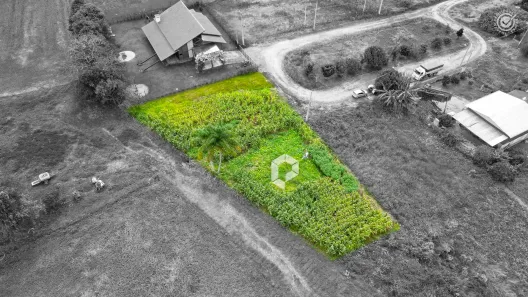 Lote/Terreno à venda, 1294m² no Colônia Witmarsum, Palmeira