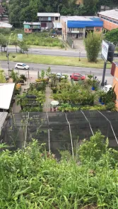 Lote/Terreno à venda, 1266m² no Sagrada Família, Caxias do Sul