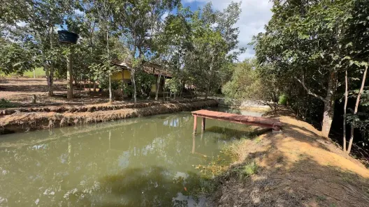 Fazenda/Sítio com 1 Quarto à venda, 20000m² no Joanápolis, Anápolis