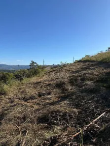 Lote/Terreno à venda, 1020m² no Mirante da Mata, Nova Lima