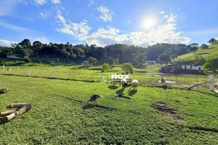 Fazenda/Sítio com 6 Quartos à venda, 350m² no , Bocaiúva do Sul