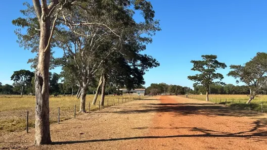Fazenda/Sítio com 3 Quartos à venda, 15756100m² no , Araguaiana