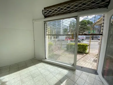 Ponto Comercial à venda, 20m² no Petrópolis, Porto Alegre
