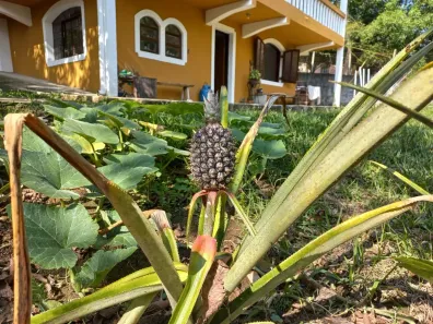 Fazenda/Sítio com 3 Quartos à venda, 220m² no Bom Jardim I, Guaratinguetá