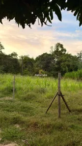 Fazenda/Sítio à venda, 3600m² no Plano Diretor Sul, Palmas