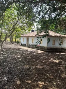 Fazenda/Sítio à venda, 5m² no , Itapuranga