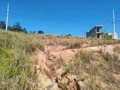 Lote/Terreno à venda, 10m² no Parque Alexandre, Cotia