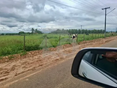 Lote/Terreno à venda, 6000m² no Centro, Cumbe