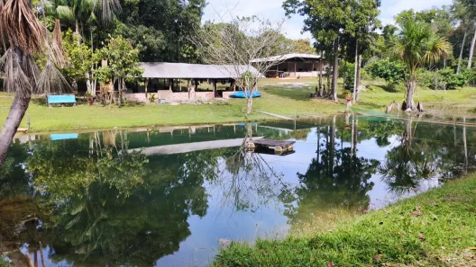 Fazenda/Sítio com 3 Quartos à venda, 999m² no Área Rural de Porto Velho, Porto Velho