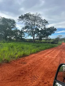 Fazenda/Sítio com 3 Quartos à venda, 1200m² no Área Rural de Barra do Garças, Barra do Garças