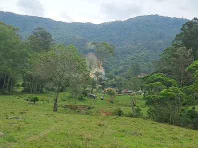 Lote/Terreno à venda, 59400m² no Centro, Gravatal