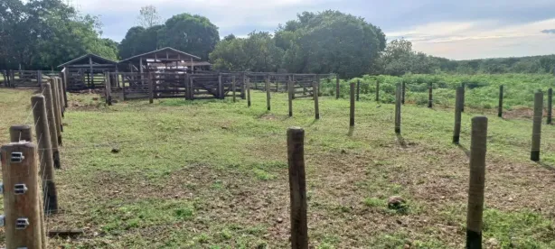 Fazenda/Sítio com 2 Quartos à venda, 69m² no Área Rural de Várzea Grande, Várzea Grande