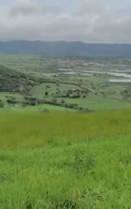 Fazenda/Sítio à venda, 56000m² no , Jaqueira