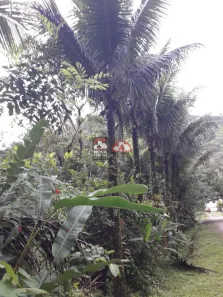 Lote/Terreno à venda, 1107m² no Verde Mar, Caraguatatuba