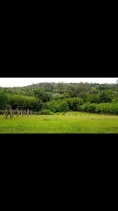 Fazenda/Sítio com 10 Quartos à venda, 6397m² no Vila Nova, Porto Alegre