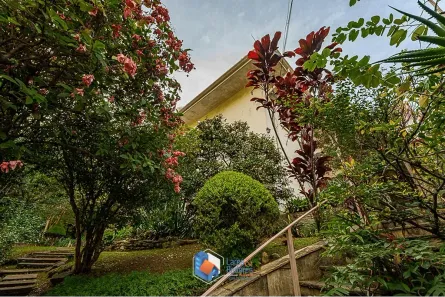 Casa com 3 Quartos à venda, 320m² no Pacaembu, São Paulo