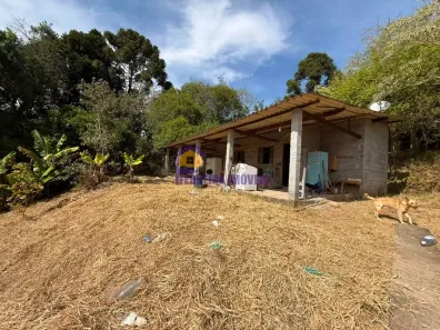 Fazenda/Sítio com 1 Quarto à venda, 1000m² no Curral, Ibiúna
