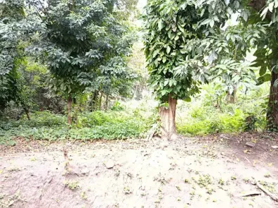 Lote/Terreno à venda, 439m² no Recanto de Itaipuaçu (Itaipuaçu), Maricá