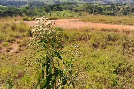 Lote/Terreno à venda, 1000m² no Residencial Recanto Itapirinha, Itapira