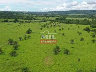Fazenda/Sítio à venda, 500m² no , Santa Fé de Goiás