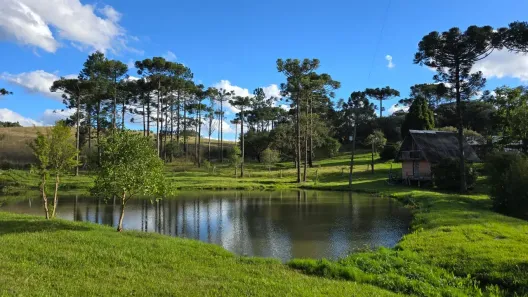 Fazenda/Sítio com 4 Quartos à venda, 21000m² no , Rio Rufino