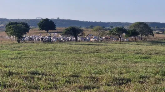 Fazenda/Sítio com 6 Quartos à venda, 1840000m² no , Mari