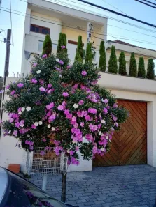 Sobrado com 4 Quartos à venda, 295m² no Jardim Vila Formosa, São Paulo