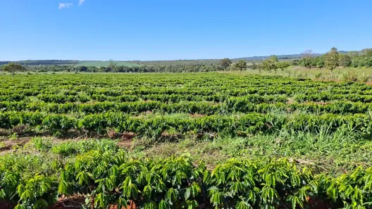 Fazenda/Sítio com 3 Quartos à venda, 180000m² no Área Rural de Planaltina, Brasília