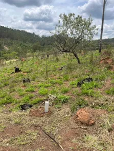 Lote/Terreno à venda, 600m² no Portão, Atibaia
